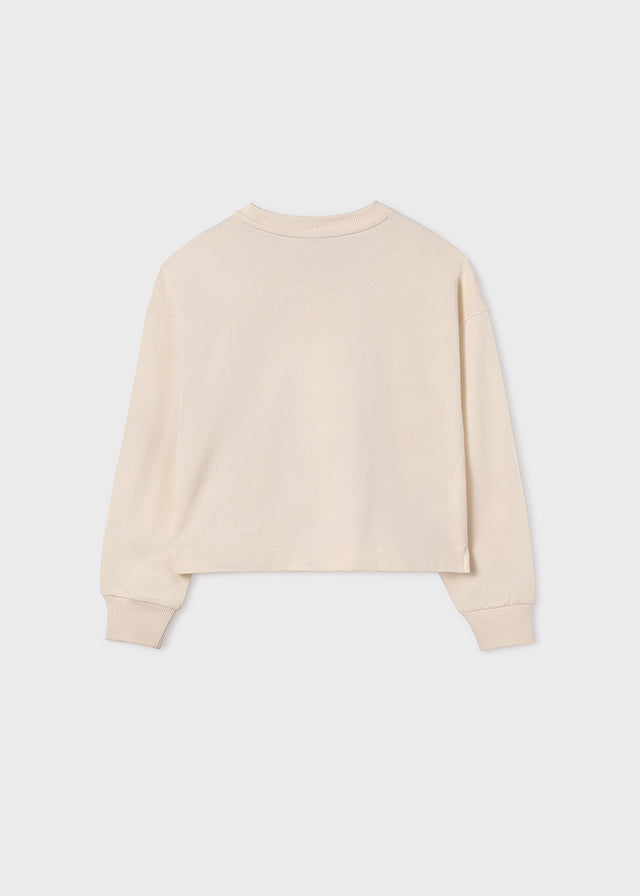 Pullover - 6455