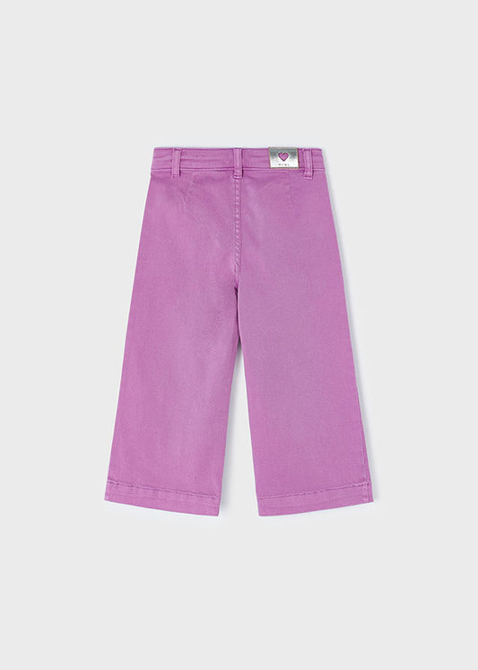 Pantalone righe - 3528
