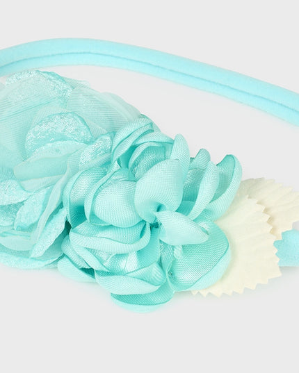 Fascia elastica - 10423