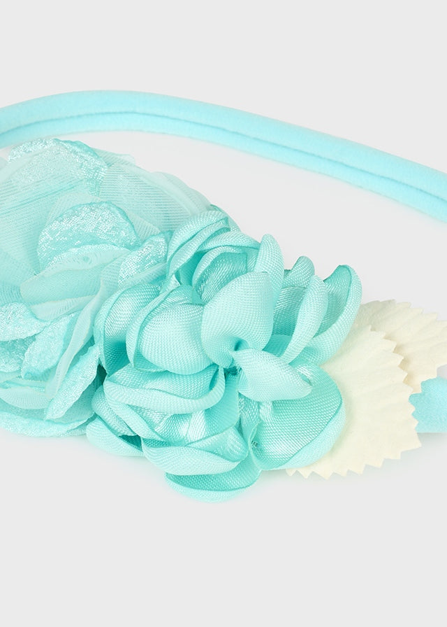 Fascia elastica - 10423