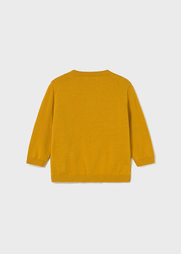 Jersey int. - 2343