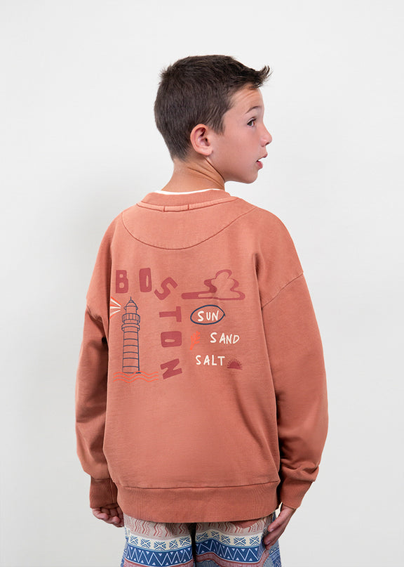 Felpa boston art - 6423