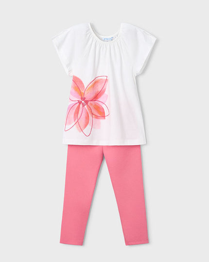 Comp. leggings punto righe - 3723