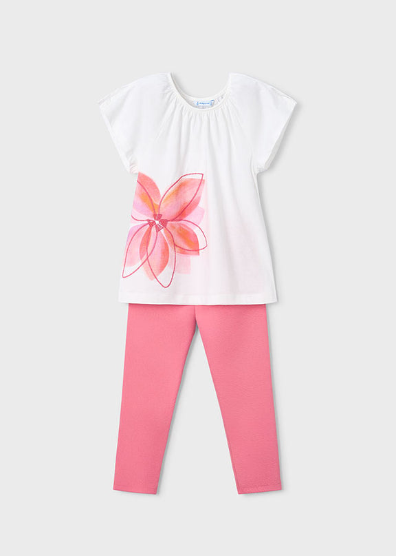 Comp. leggings punto righe - 3723