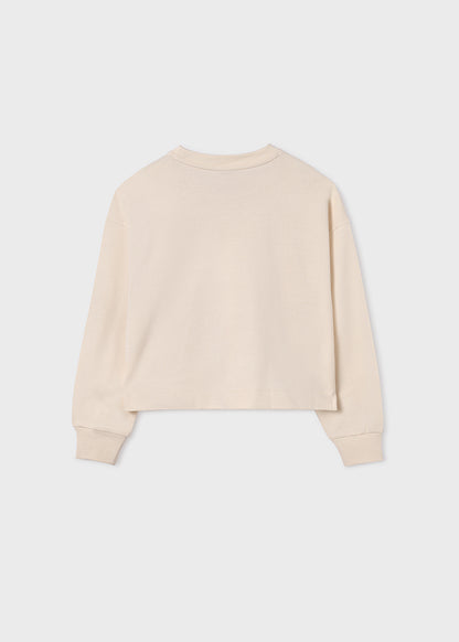 Pullover - 6455